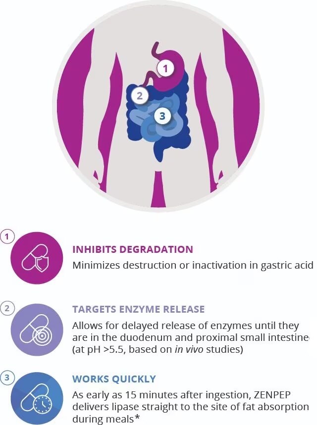 Inhibits degradation, targets enzyme release, and works quickly